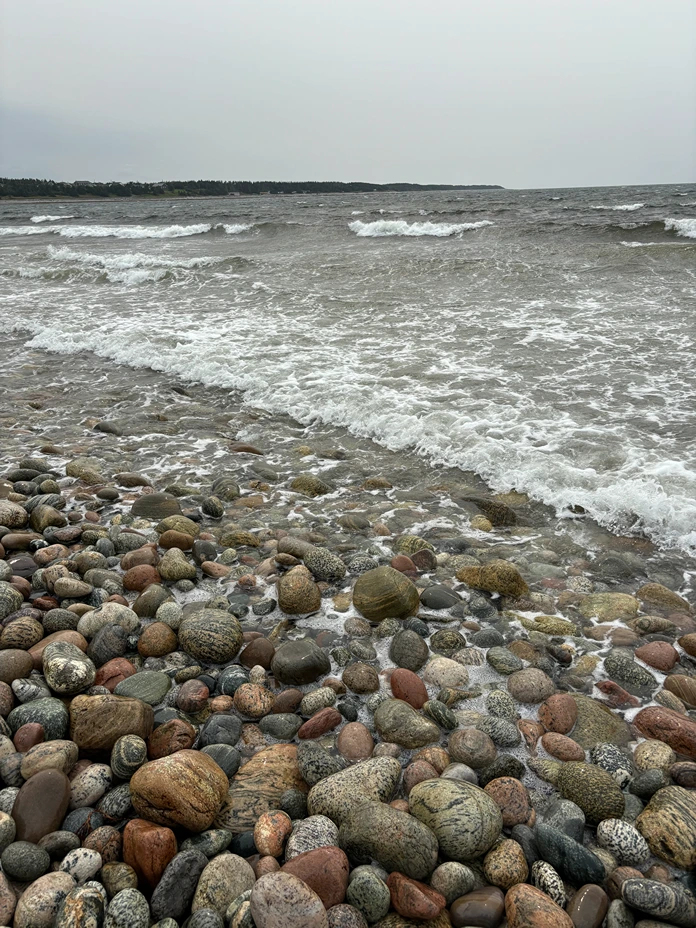 Activity Image